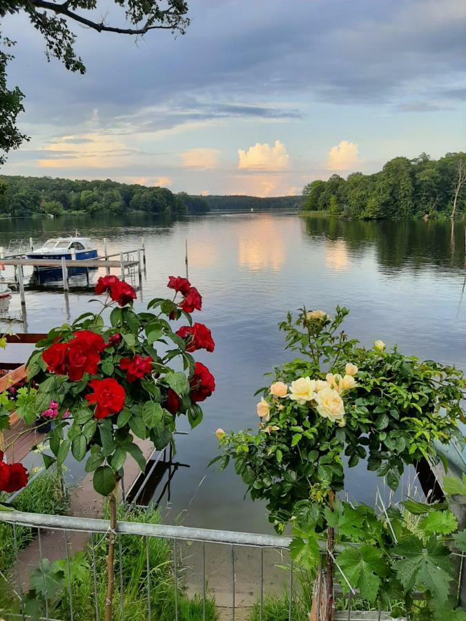 Am Lehnitzsee